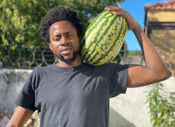 Be Corny